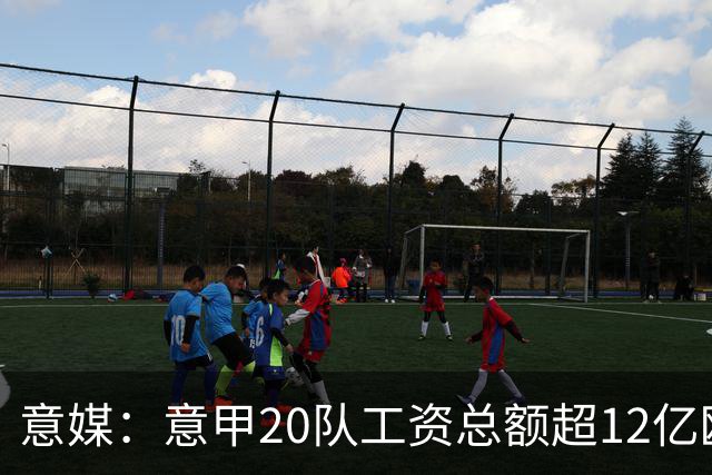 意媒：意甲20队工资总额超12亿欧，国米1.4582亿欧排名第一